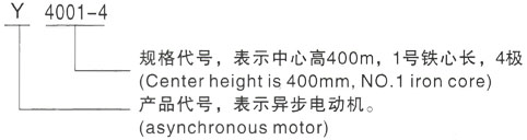 西安泰富西玛Y系列(H355-1000)高压YKK3553-4/220KW三相异步电机型号说明